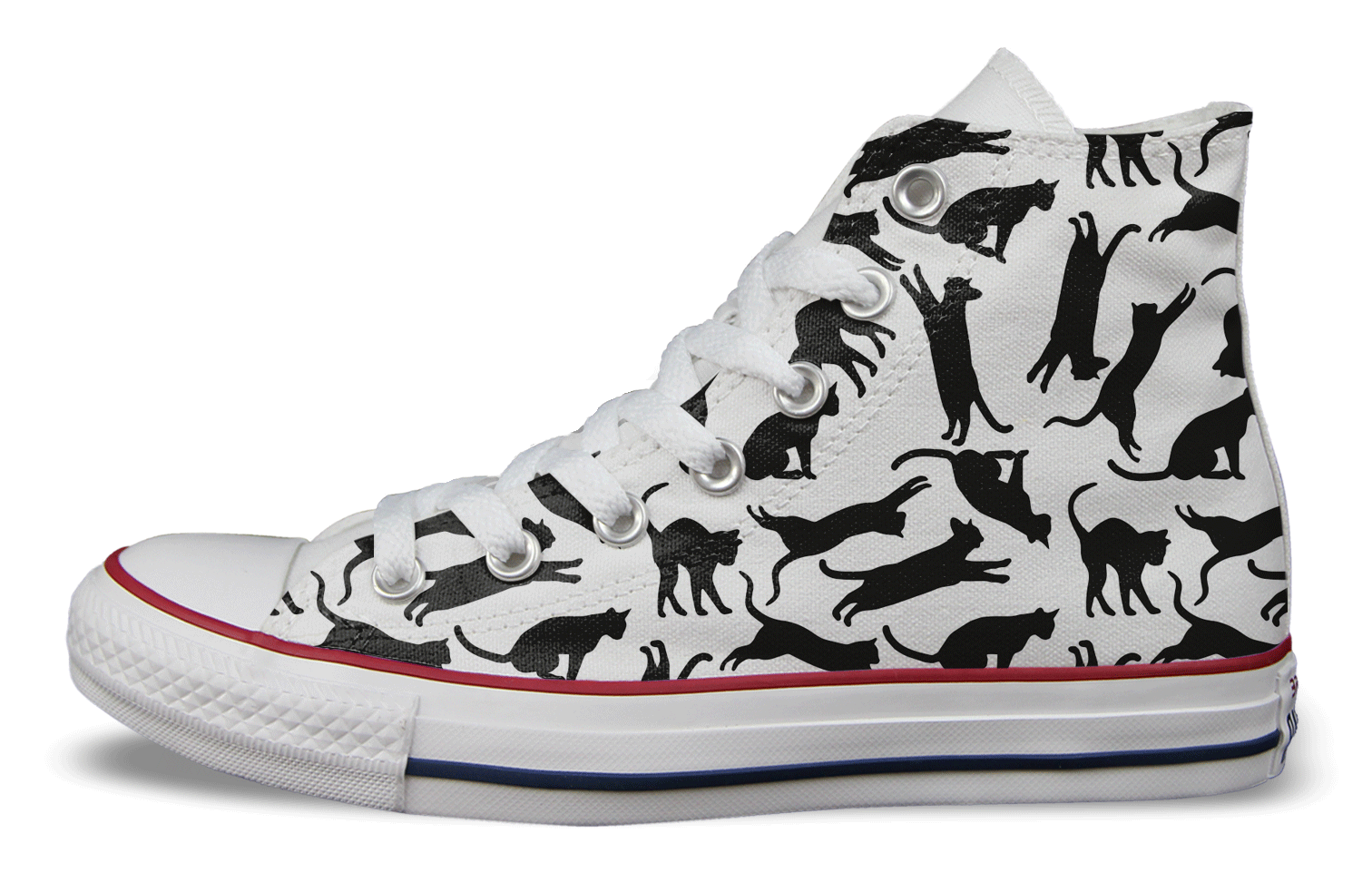 converse for cats